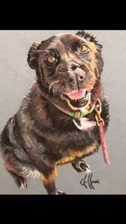 Dog Drawing Wall Art