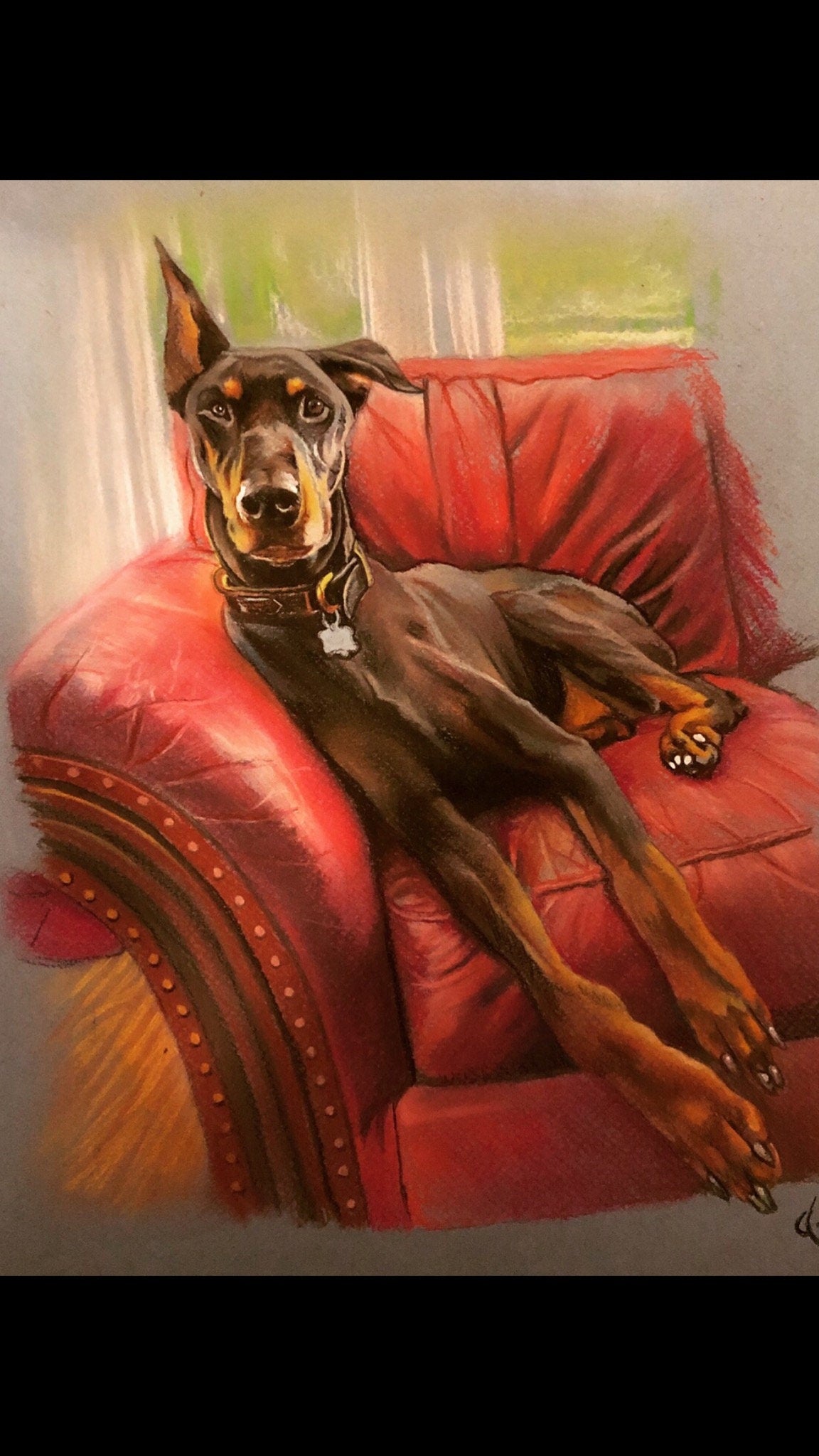 Pet Drawings Wall Art