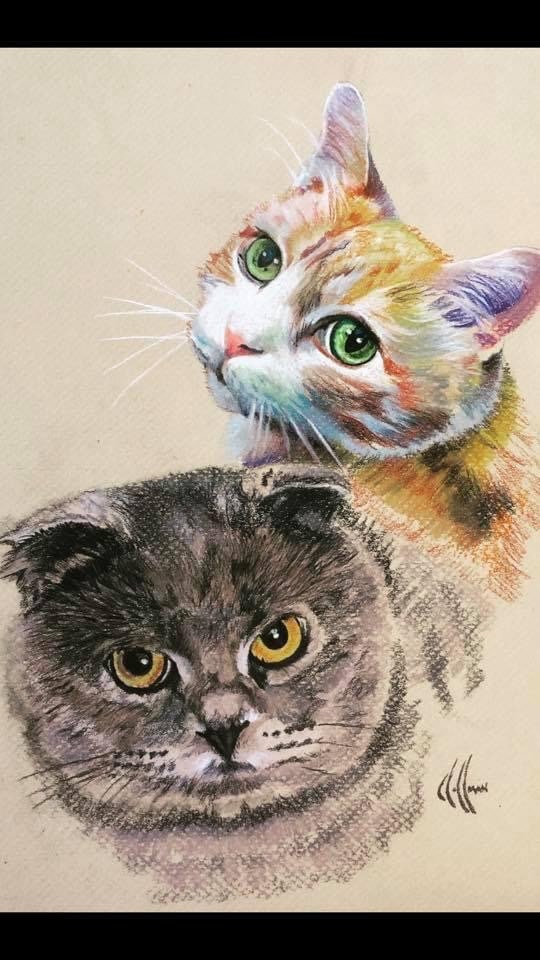 Your cat drawing Wall Art