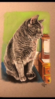 Cat Drawing Wall Art