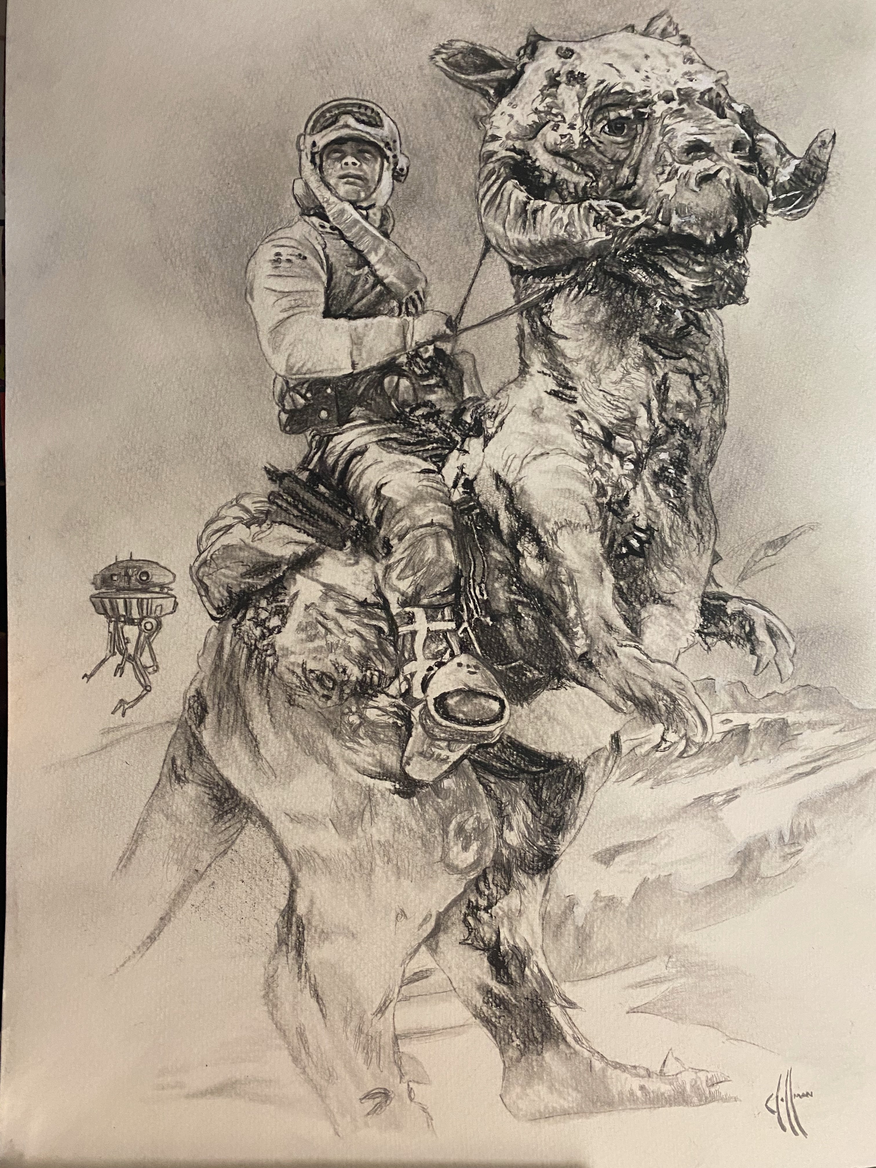 Luke at Tauntaun Wall Art